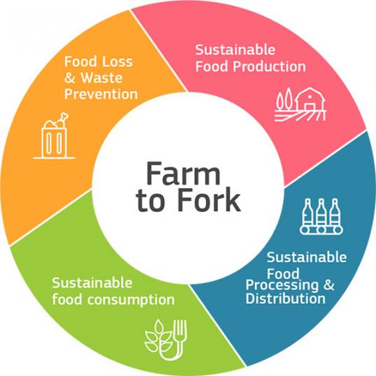Agricoltura biologica - Farm to Fork